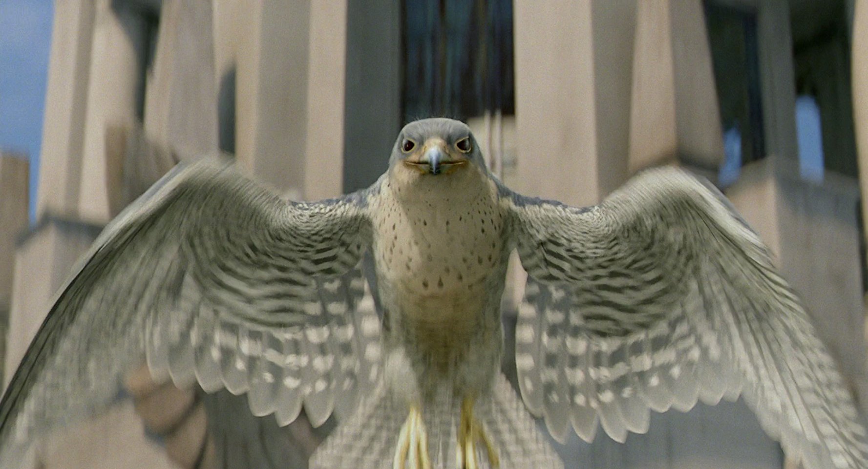 falcon stuart little