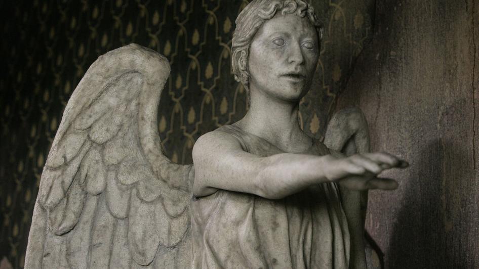 Weeping Angel