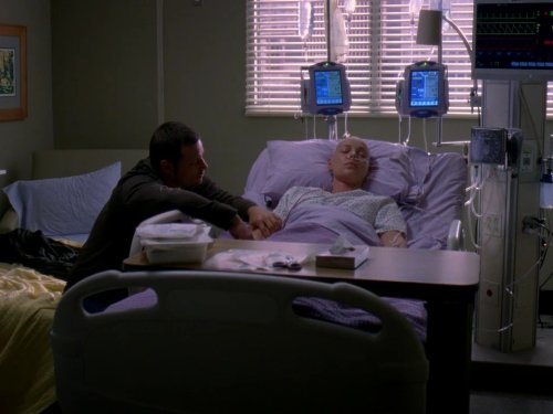 Dr. Izzie Stevens