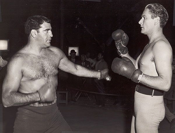 Sammy Stein