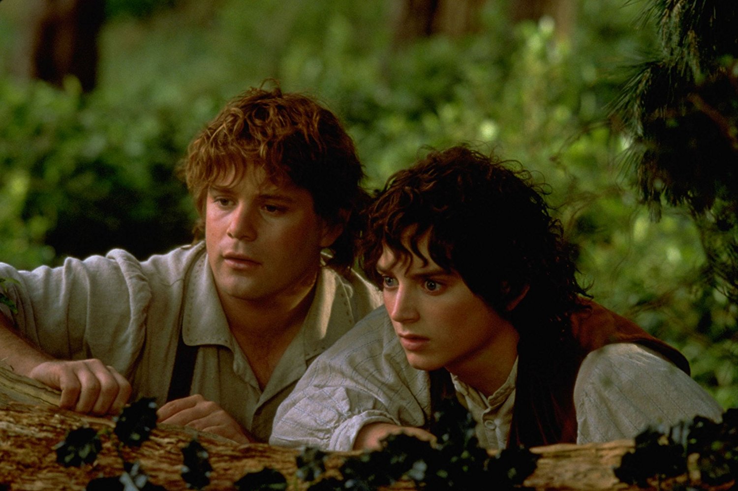 Samwise Gamgee