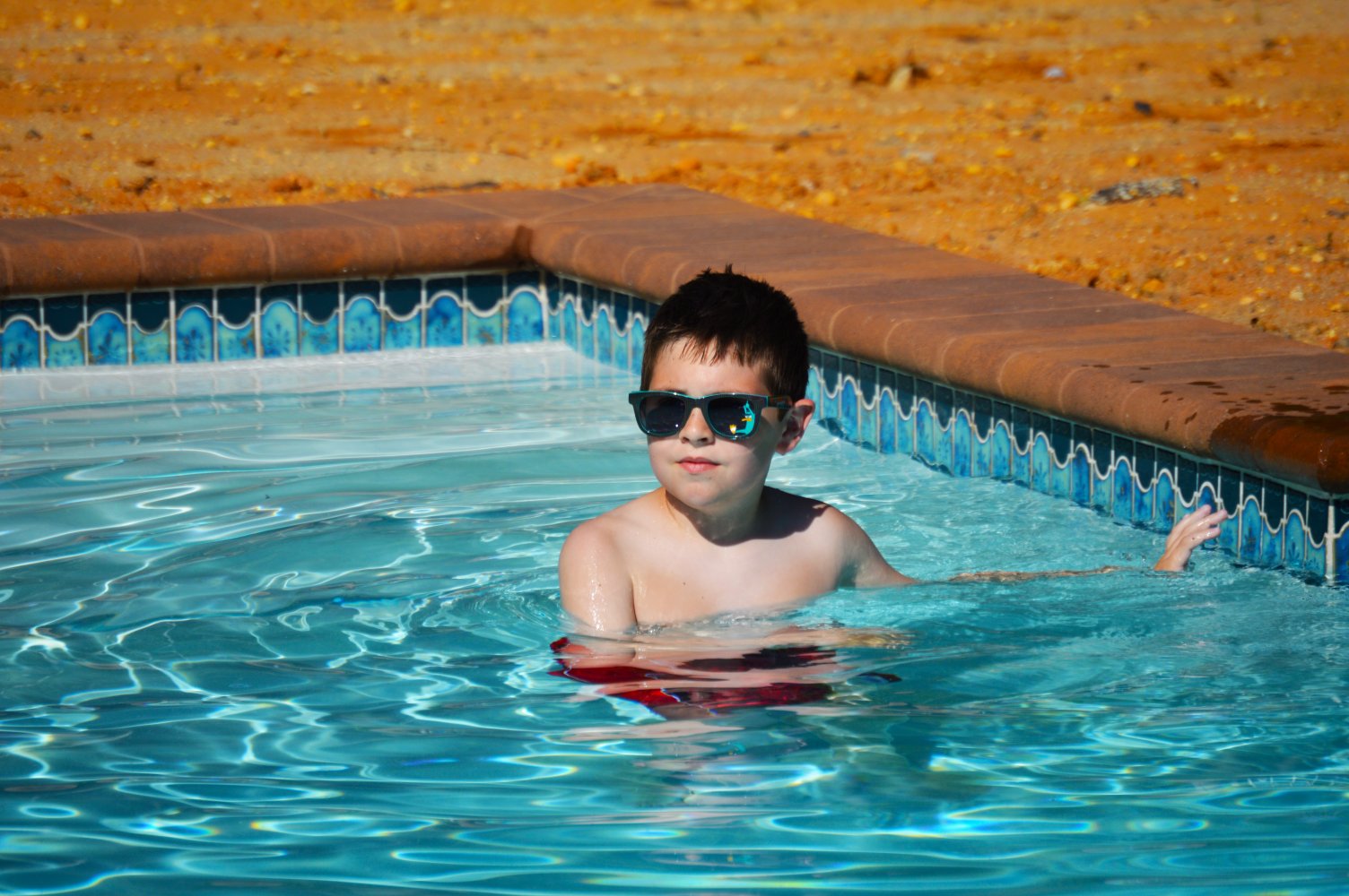 Domenic Ambroselli