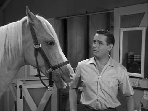 Alan Young
