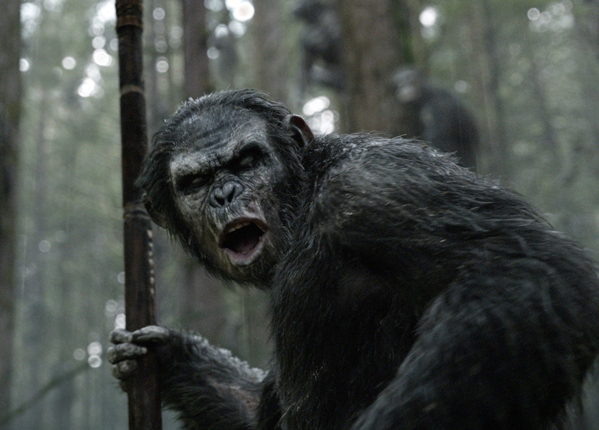 Koba