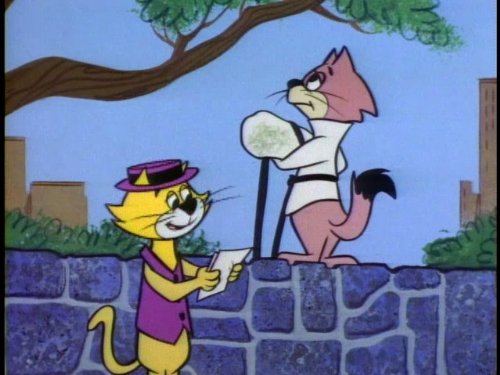 Top Cat