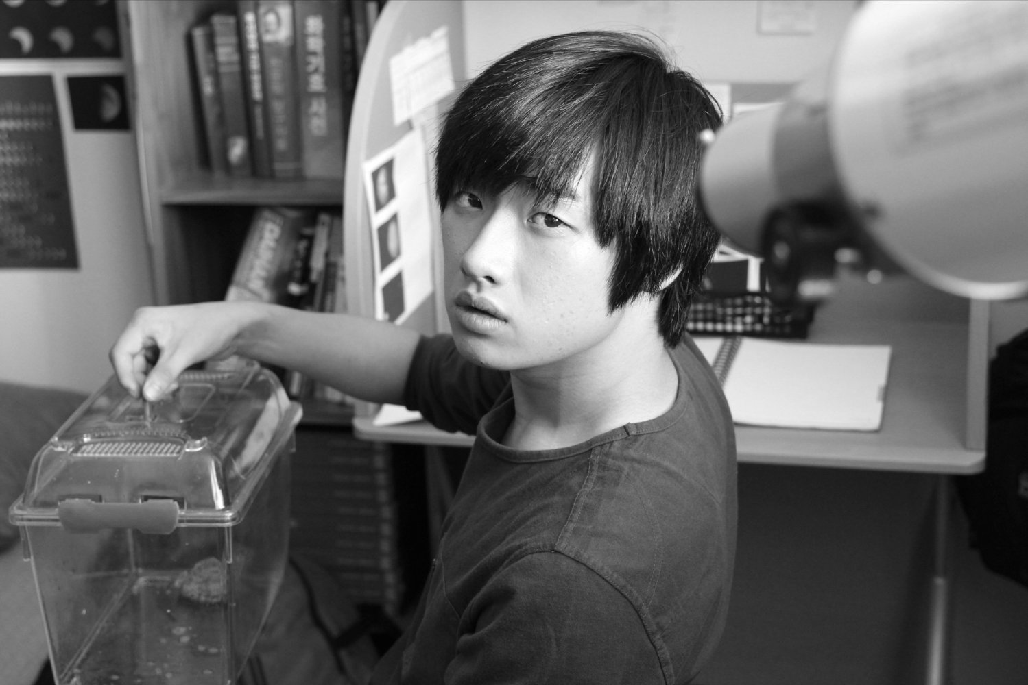 Da-wit Lee