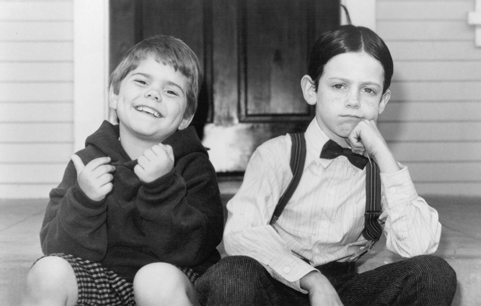 Alfalfa