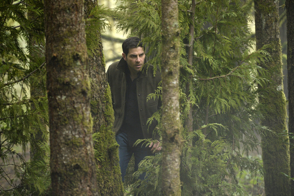David Giuntoli