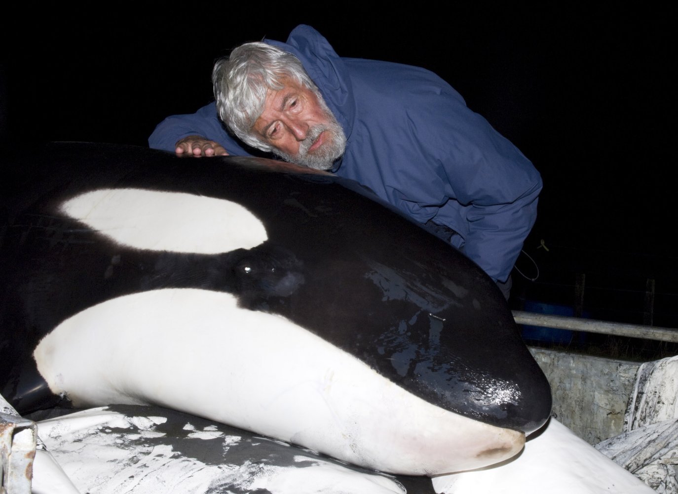 Jean-Michel Cousteau