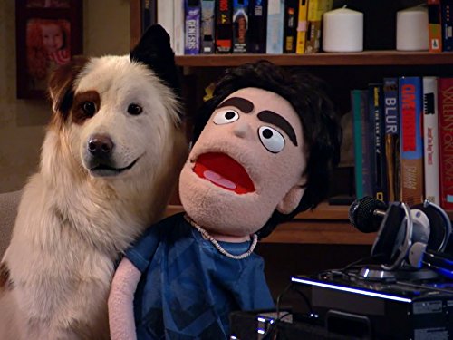 Stan the dog