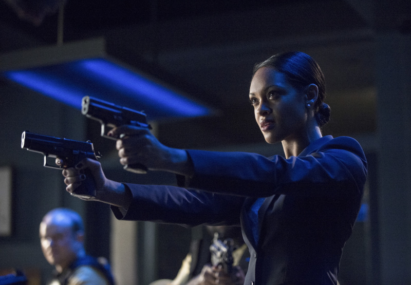 Amanda Waller