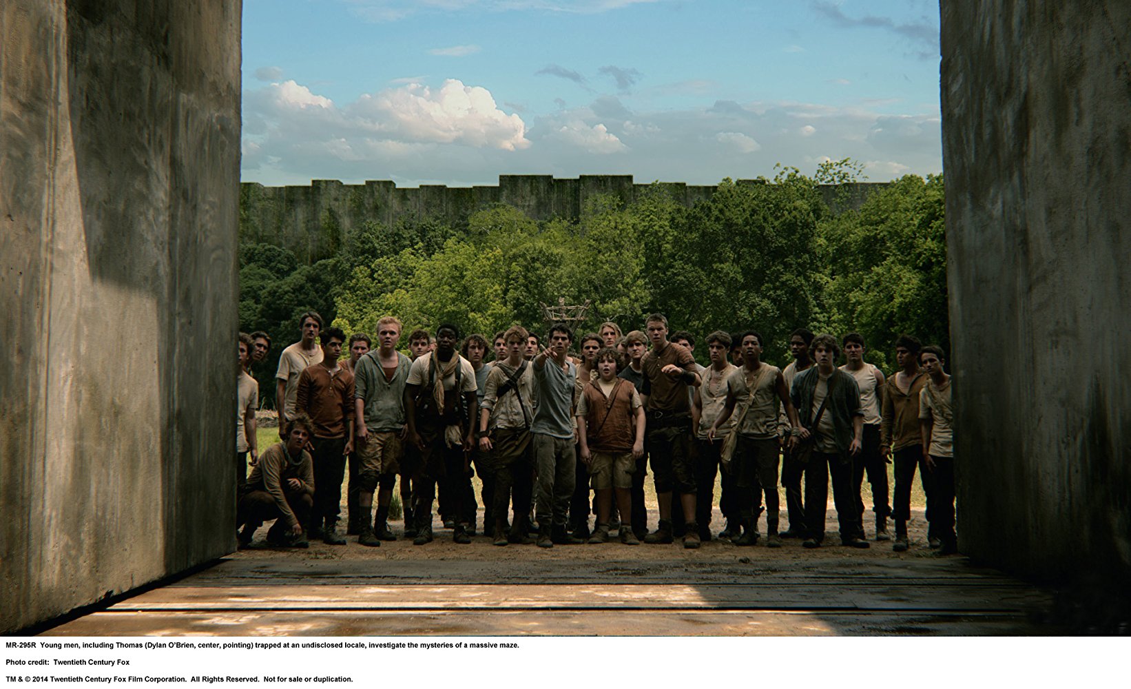 Newt