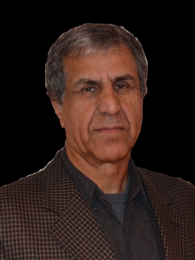 Enayat Delawary