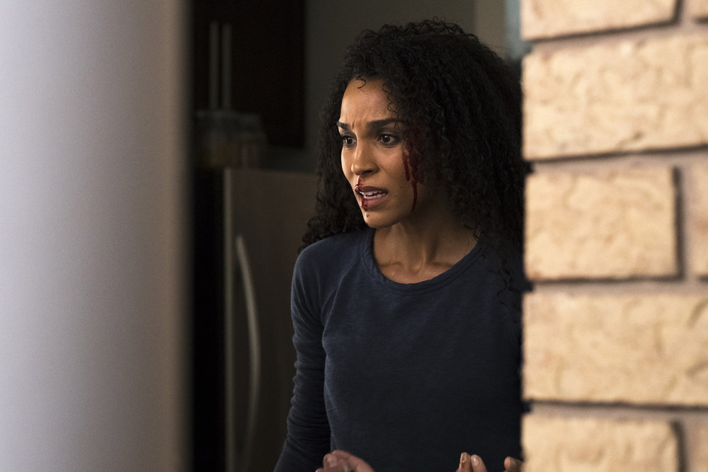 Brooklyn Sudano