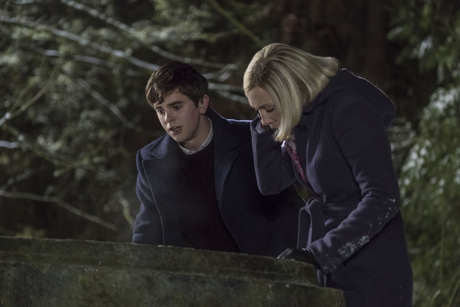 Freddie Highmore