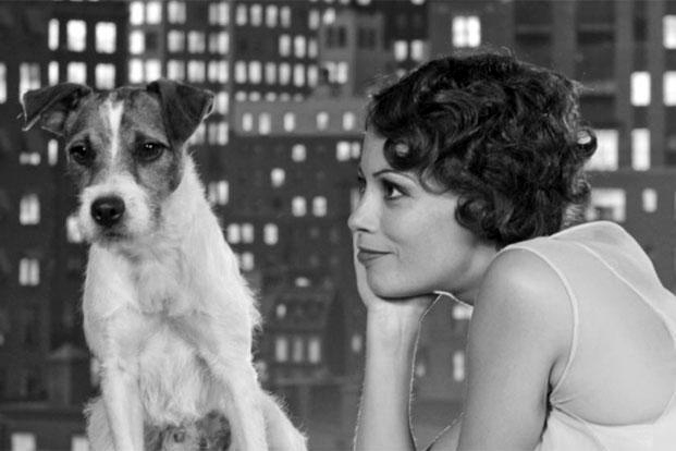 watch-movies-and-tv-shows-with-character-the-dog-for-free-list-of-movies-the-artist