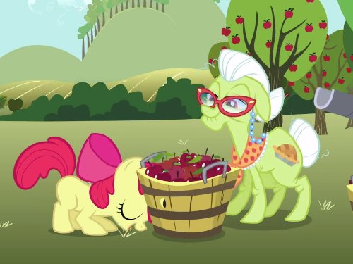 Apple Bloom