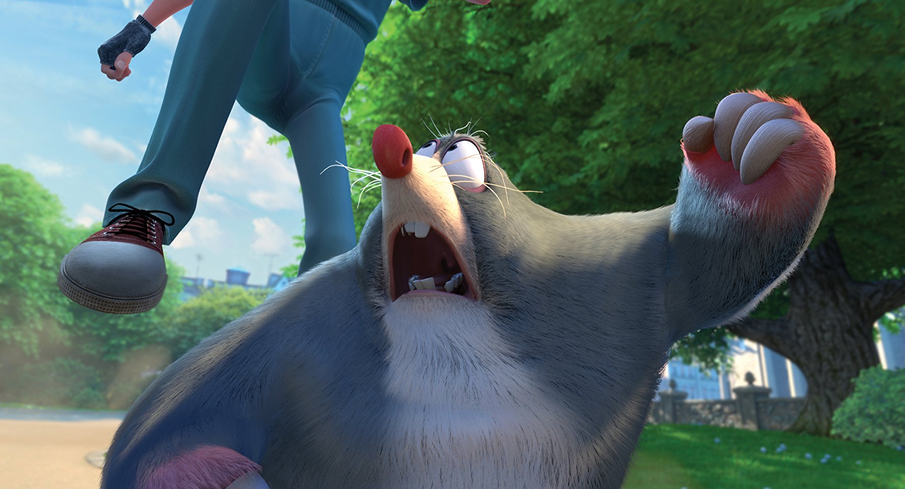 Mole