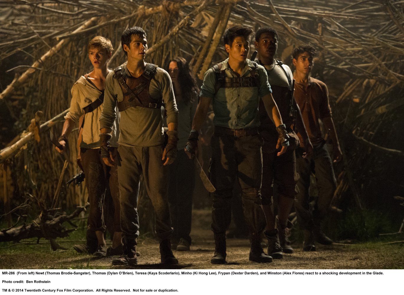 Newt