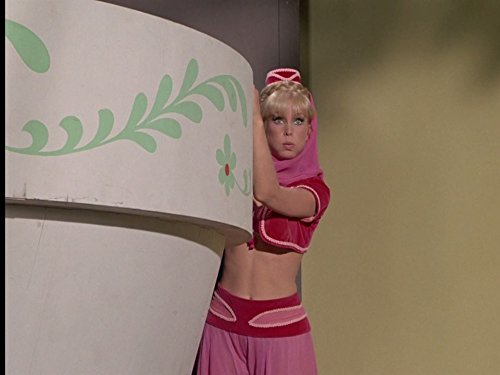Barbara Eden
