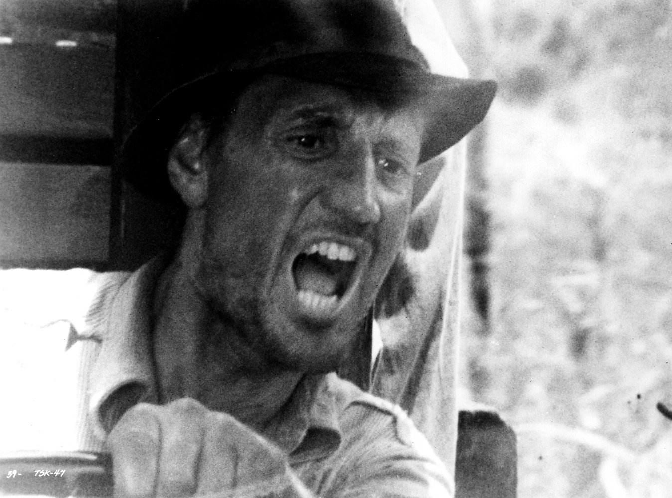 Roy Scheider