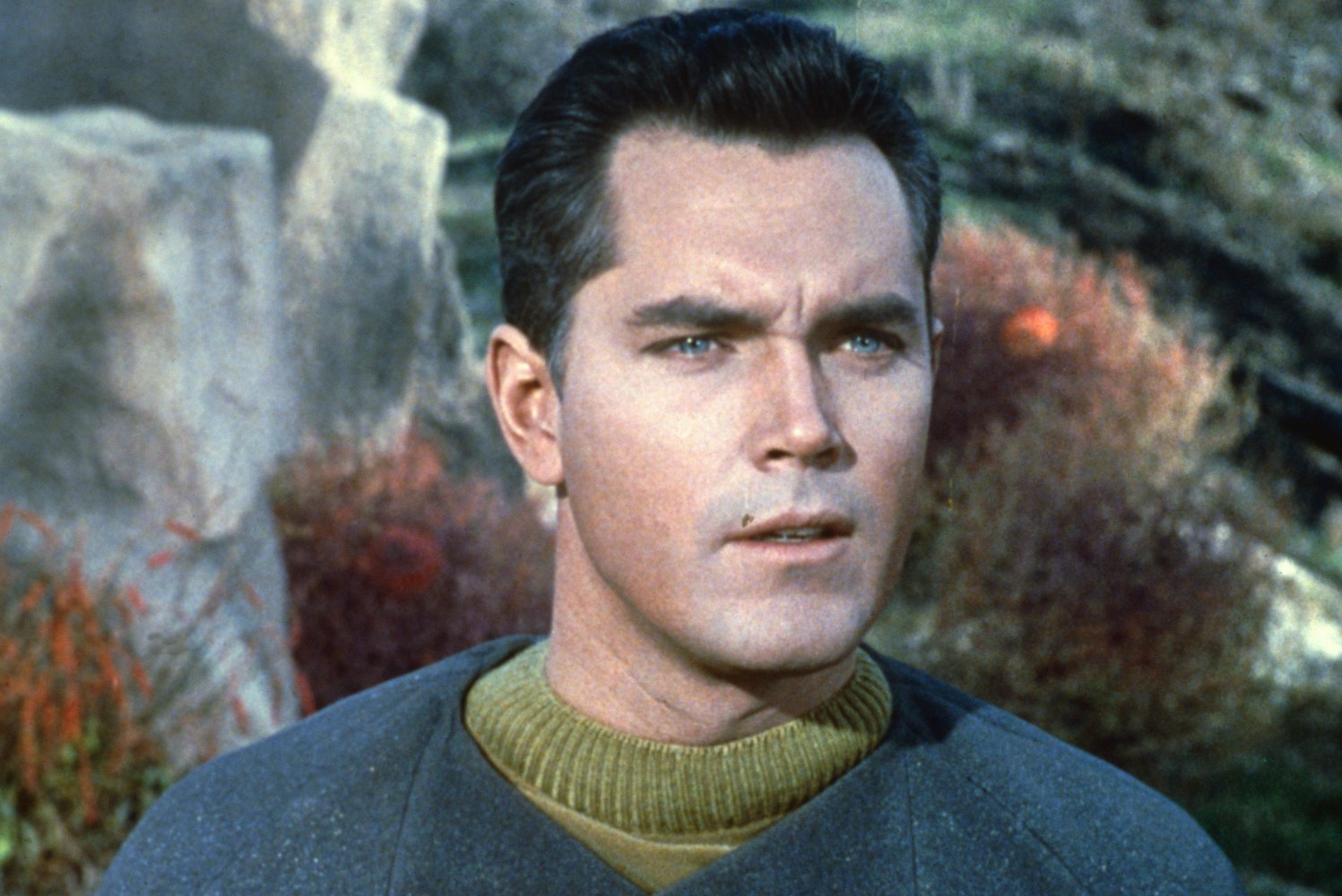 Jeffrey Hunter