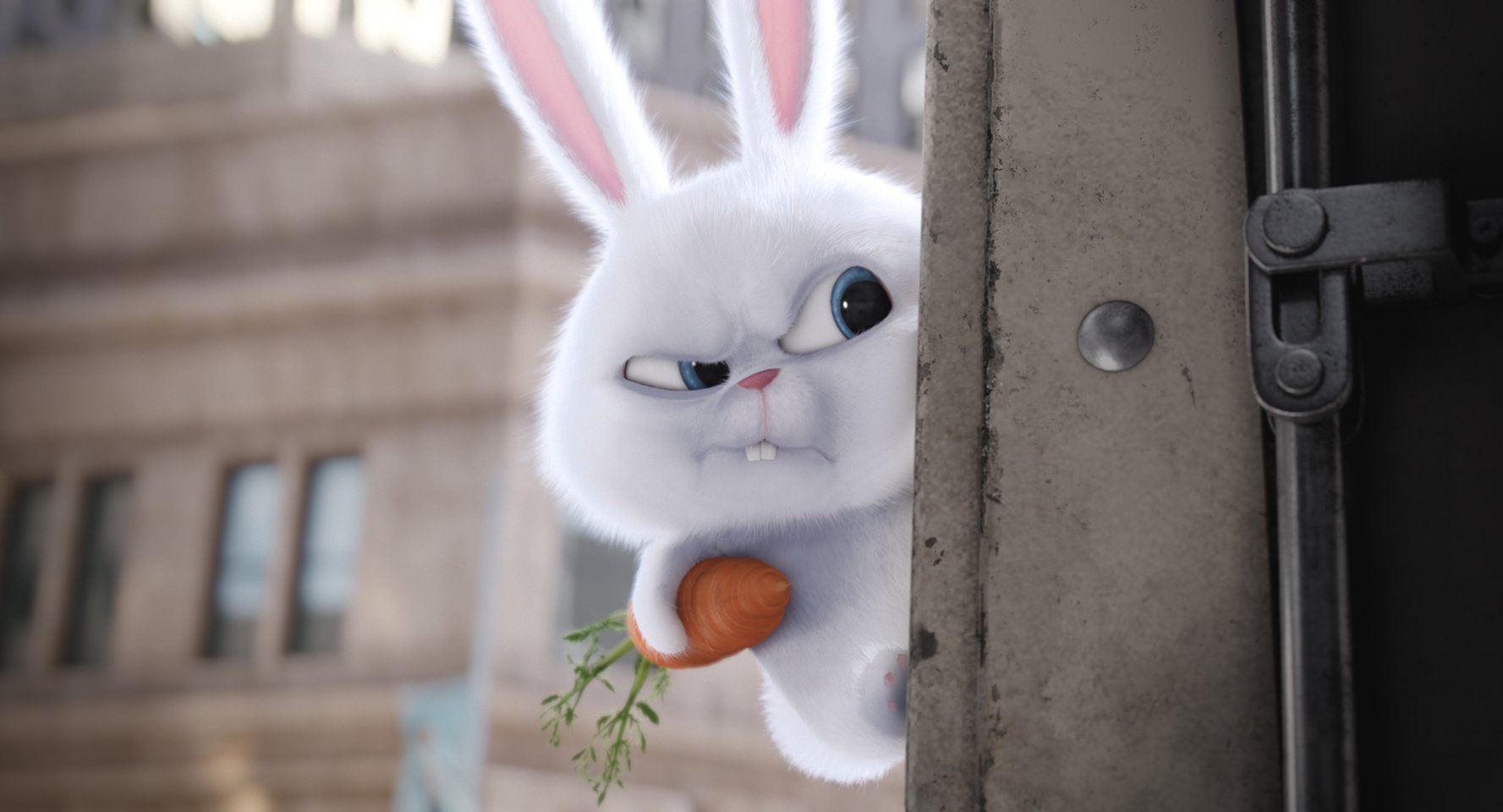Snowball
