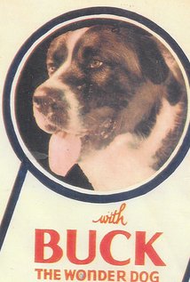 Buck