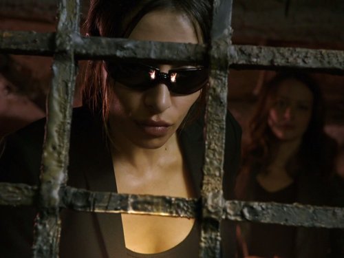 Sameen Shaw