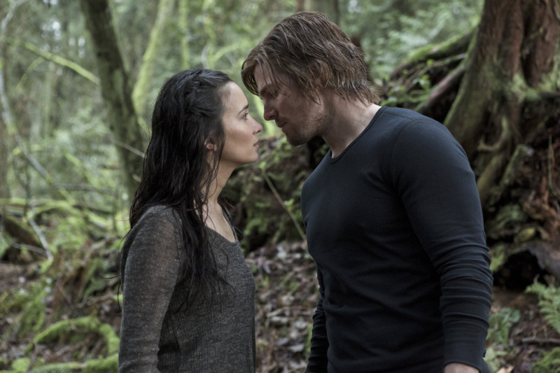 Shado