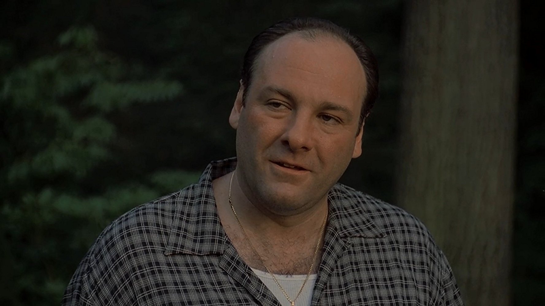 Tony Soprano