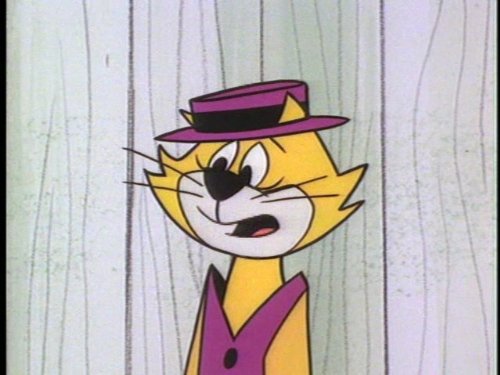 Top Cat
