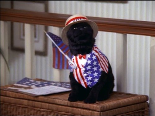 Salem Saberhagen