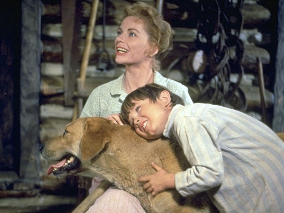 old-yeller-1957-watch-in-hd-for-free-fusion-movies